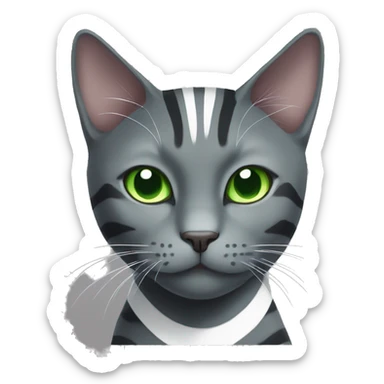 gray cat with white stripes and green eyes, black cat with white sticker