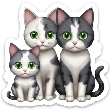 3 different coloured small cats including a dark grey and white, and a patchy calico and a completely solid dark grey with green eyes and only white paws sticker