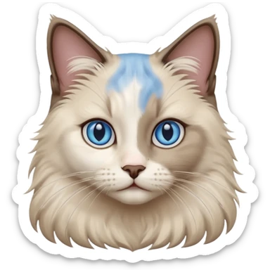 ragdoll, blue eyes, bi color sticker