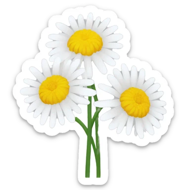 White Chrysanthemum sticker