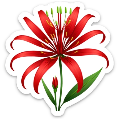 Red spider lily sticker