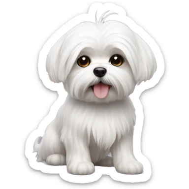 realistic mini maltese dog sticker