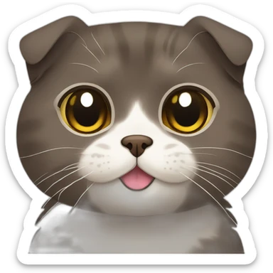 Dark brown Scottish fold breed cat sticker