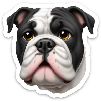 Black and white English bulldog  sticker