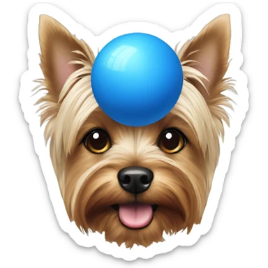 Yorkshire terrier with blue ball sticker