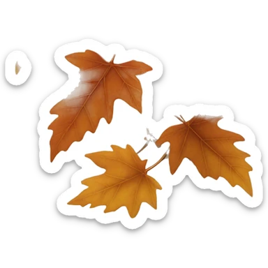autumn leaf of korean tree sticker