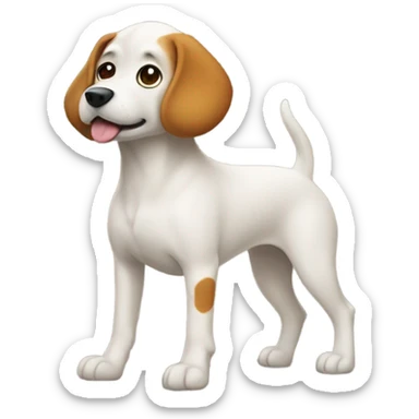 Dog with a butt sticker