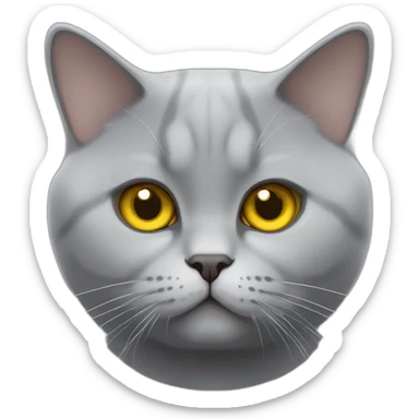 A british shorthair cat in schildpatt with white bless and with yellow eyes sticker