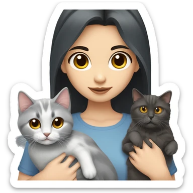 dark hair dark eyes girl with siberian cat and russian blue cat  sticker