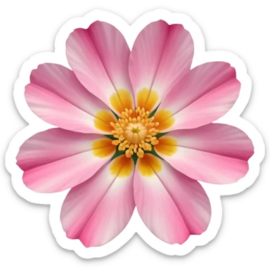 coquina flower sticker