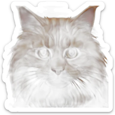 angry-all-orange-maine-coon-cat sticker