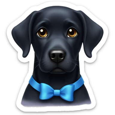 Black Labrador with a blue bow sticker