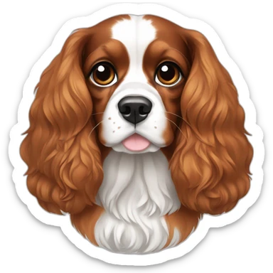 tricolor-king-charles-cavalier-spaniel sticker