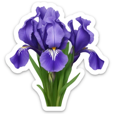 Bouquet of irises sticker