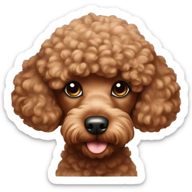 Brown toy poodle laying sticker