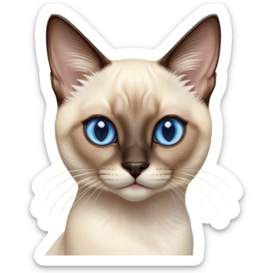 Cinematic Cute Siamese Cat Portrait Emoji, Head tilted playfully and inquisitively, sleek cream-colored fur with rich, contrasting dark points on the ears, face, paws, and tail, striking sapphire-blue eyes, Simplified yet irresistibly adorable features, highly detailed, glowing with a warm, friendly glow, high shine, affectionate and curious, stylized with a touch of whimsy, bright and endearing, soft glowing outline, capturing the essence of a mischievous yet loving kitten, so playful it feels like it could pounce out of the screen and into your arms! sticker