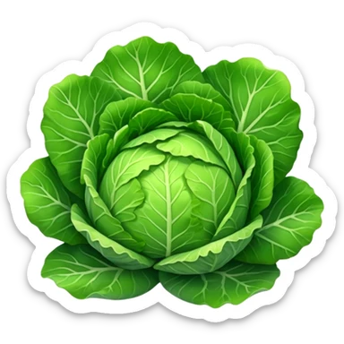 cabbage sticker