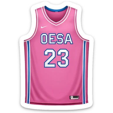 pink basketball jersey with the number 23 and a logo sticker
