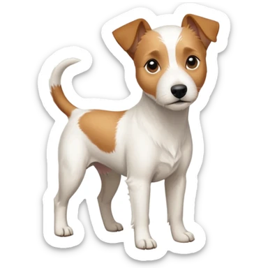 a full body slightly chubby white parson russell terrier looking dog the size of a kelpie with light brown long ears and a light brown patch on one eye and a large snout sticker
