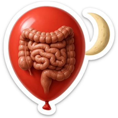 intestino umano anatomico chiuso in un palloncino rosso che simboleggia gonfiore, accanto una mezza luna che simboleggia "gonfiori di sera", iperrealistico 4k sticker
