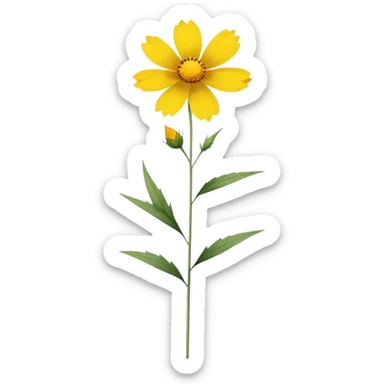 single Coreopsis, straight stem sticker