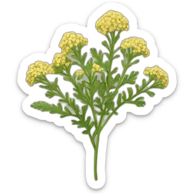 yarrow sticker