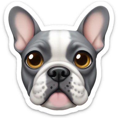 French bulldog grey and tan with tan patches above eyes sticker