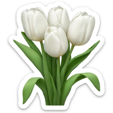 white tulips sticker