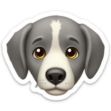 ursinho coala fofinho sticker