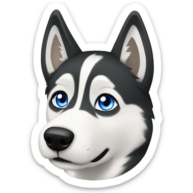 Black and white Siberian husky with blue eyes and a white fleur de lis mark on forehead  sticker