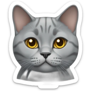 British shorthair cat gray sticker