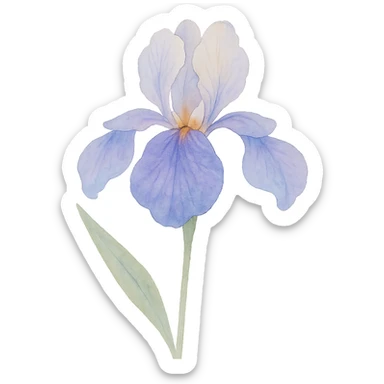 very detailed iris flower, delicate petals, vibrant purples and blues, soft gradients, realistic botanical details sticker