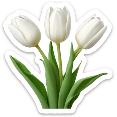 white tulips sticker