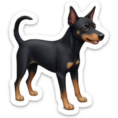 Black australian kelpie mix dog body sticker