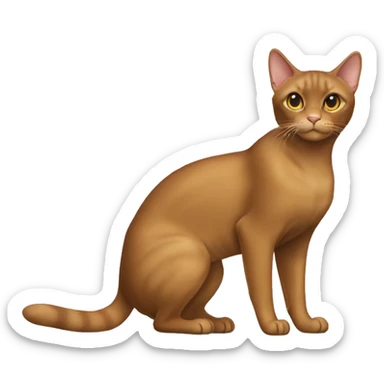 havana brown Cat Full Body sticker