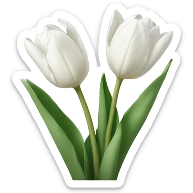 white tulips  sticker