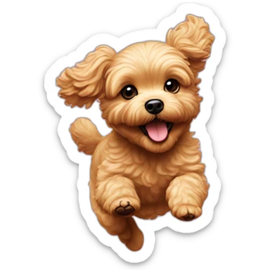golden maltipoo jumping sticker
