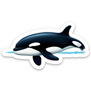killer whale sticker