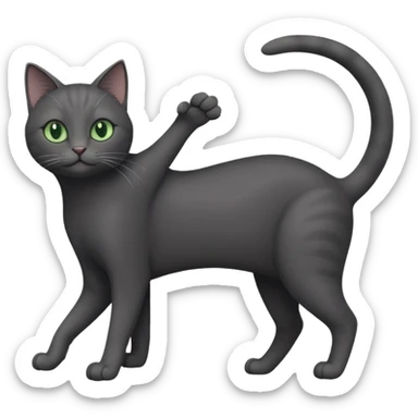 full body gorgeous solid dark grey cat with green eyes, white paws and white whiskers stretching like a cat sticker