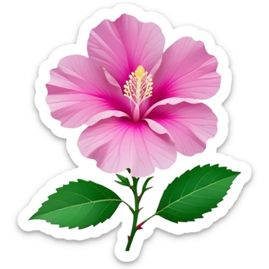 Cinematic Realistic image of a Mugunghwa flower (Rose of Sharon), rendered with delicate petal textures and vibrant pink hues, set against a minimalist background with gentle, diffused lighting that highlights its national significance sticker