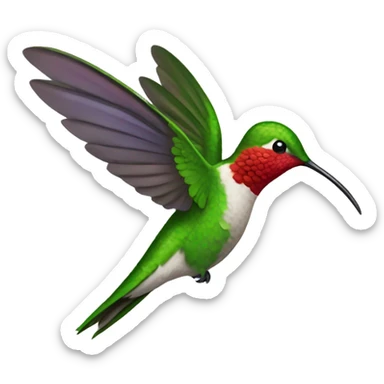 Hummingbird  sticker