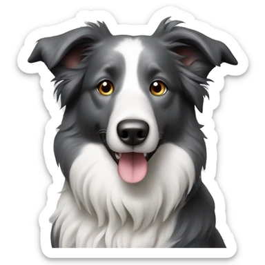 Dog border collie grey sticker