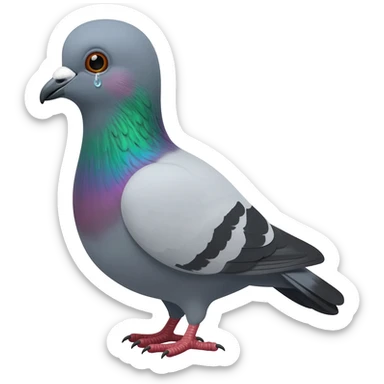 Crying pigeon sticker