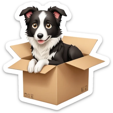  A very cute young Border collie  with one's head tilted to one side poked its paws out of the cardboard big box and placed them on top of it sticker