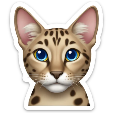 A cat, breed Savannah f1, with big ears, coloring like a leopard and blue eyes named Luna sticker