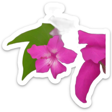 bougainvillea flower sticker