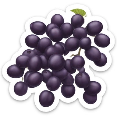 Elderberry sticker