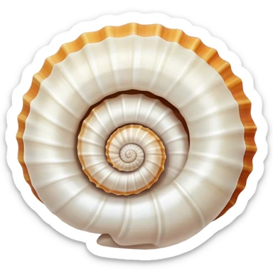 Seashells  sticker