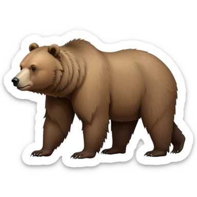 Realistic grizzly bear on four legs with natural fur texture, minimalist design sticker