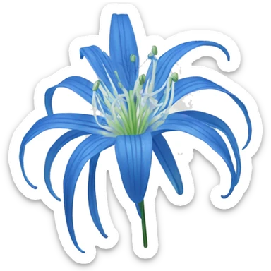 Blue spider lily sticker